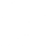 Essilor